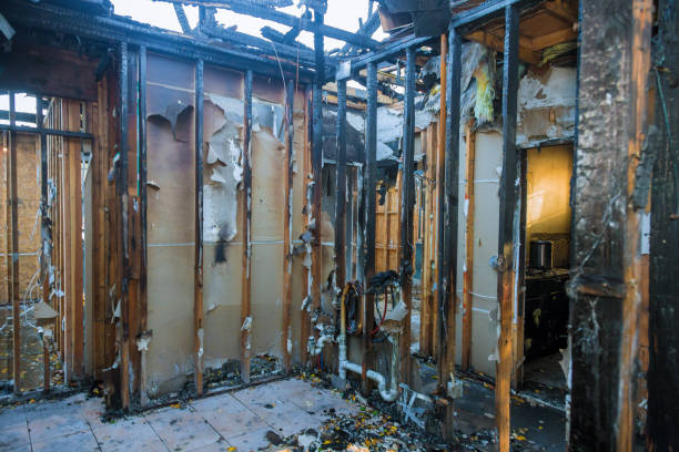 Professional Fire Damage Removal technician working in Dover, FL