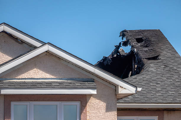 Top rated local Fire Damage Removal specialists in Dover, FL